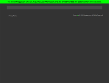Tablet Screenshot of finegtps.com